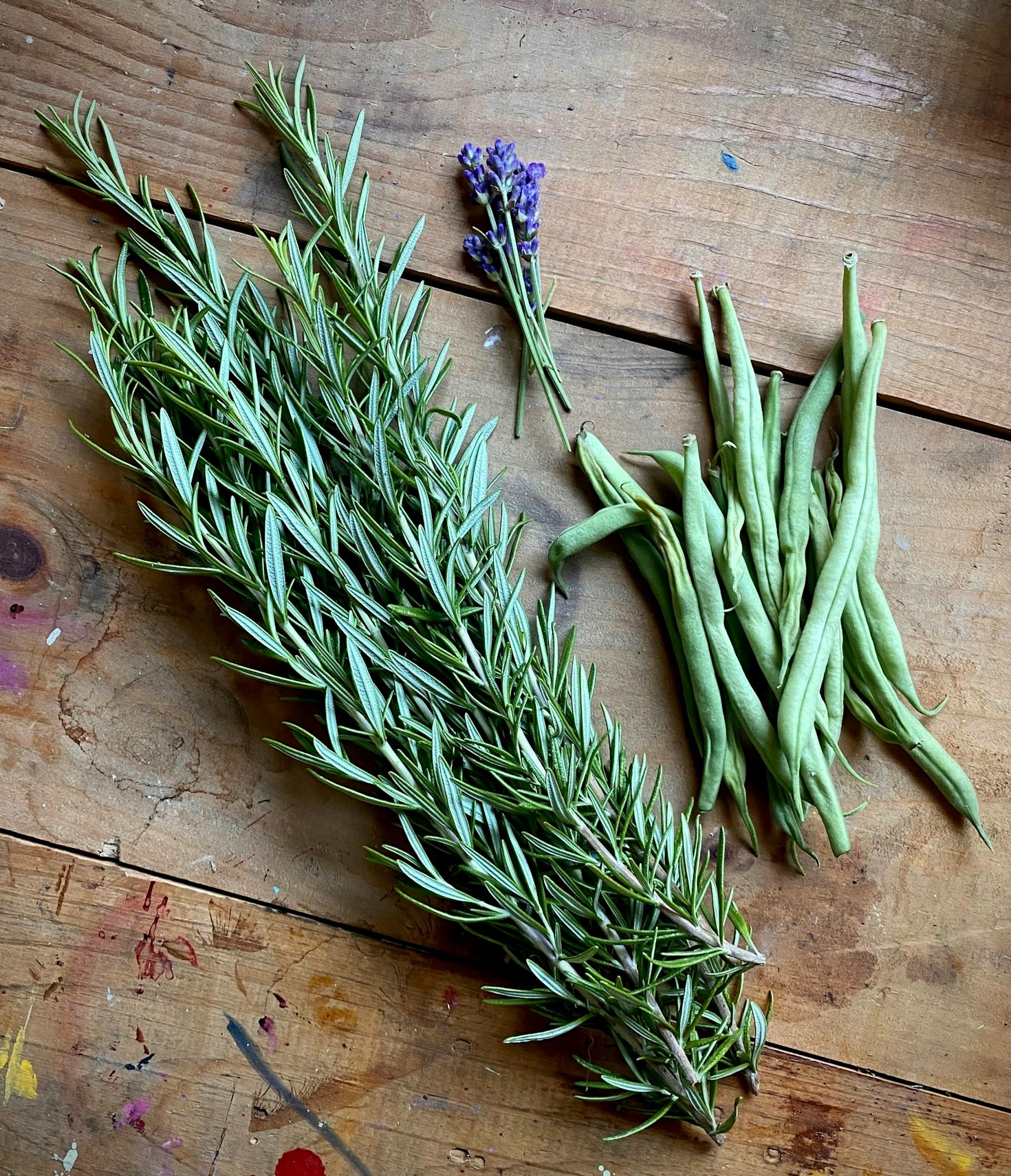 5 Natural Remedies to Boost Your Wellness