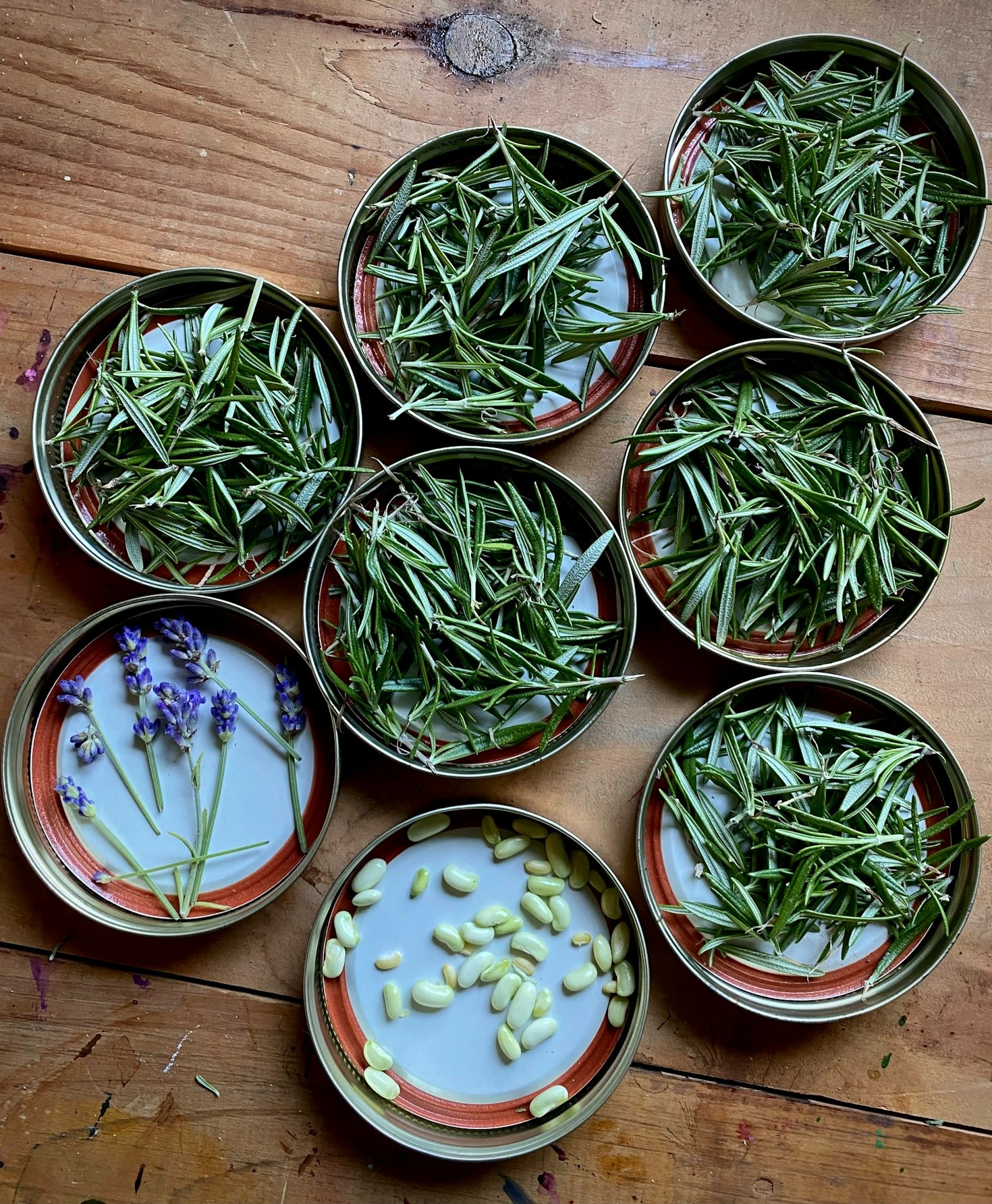 Why Choose Natural Over Synthetic Treatments